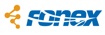 Fonex Bizhub LLP