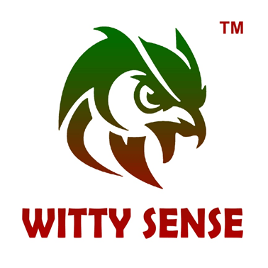 WITTYSENSE INNOVATIONS PRIVATE LIMITED